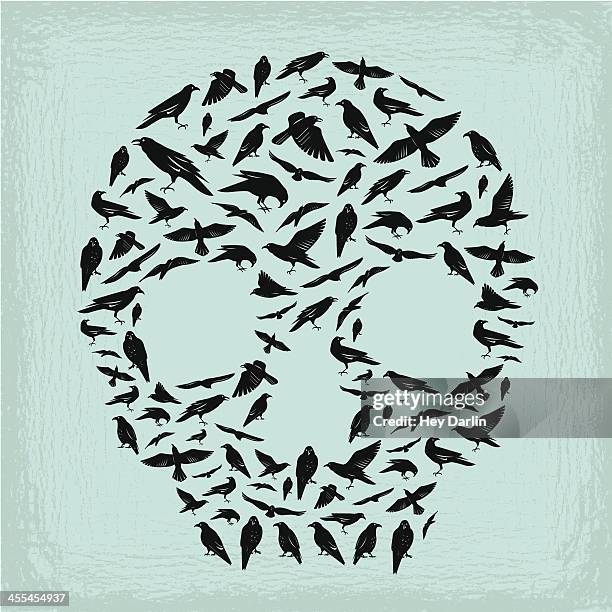 ilustrações de stock, clip art, desenhos animados e ícones de crânio de pássaro - maldade