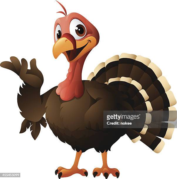 ilustraciones, imágenes clip art, dibujos animados e iconos de stock de gráficos de historieta de turquía - funny thanksgiving turkey