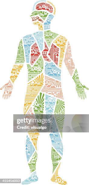 human anatomy - human circulatory system stock illustrations