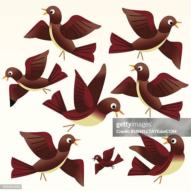 ilustrações de stock, clip art, desenhos animados e ícones de brown aves - territorial animal