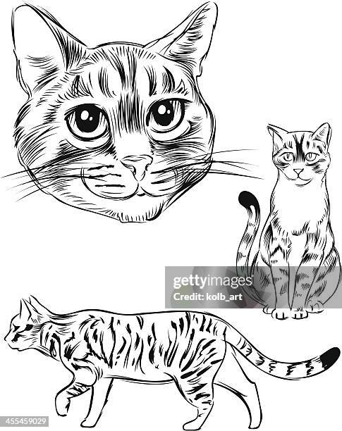 line drawing of a cat - domestic cat stalking stock illustrations