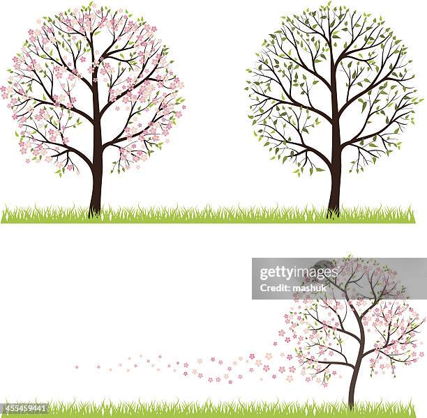 spring tree - japanese greeting stock illustrations