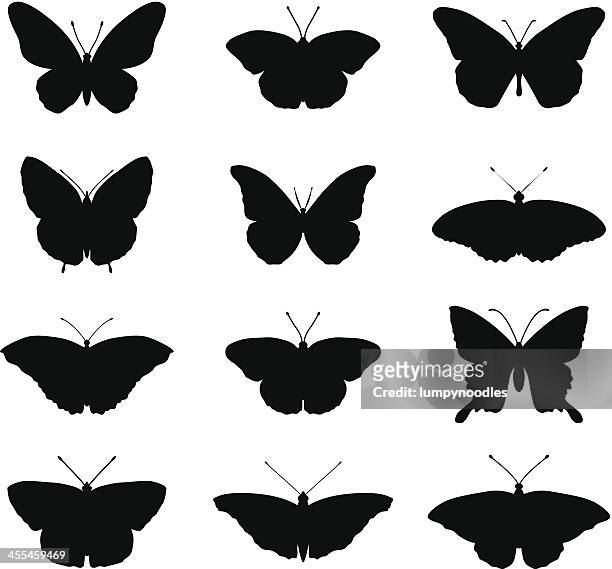 schmetterling-silhouetten - butterfly insect stock-grafiken, -clipart, -cartoons und -symbole