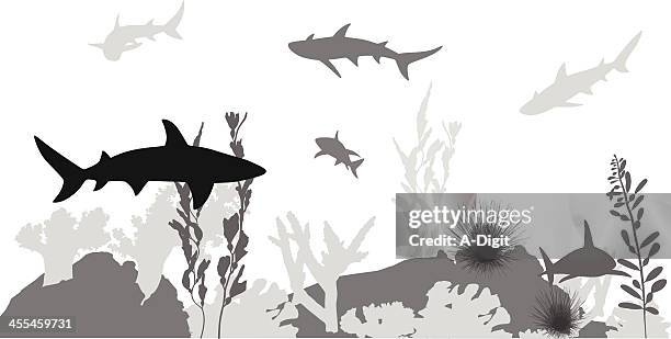 shark infested vector silhouette - reef stock illustrations