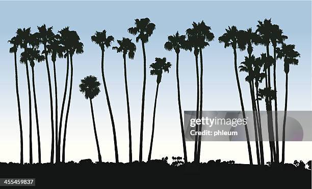 ilustraciones, imágenes clip art, dibujos animados e iconos de stock de palm tree silhouettes - california