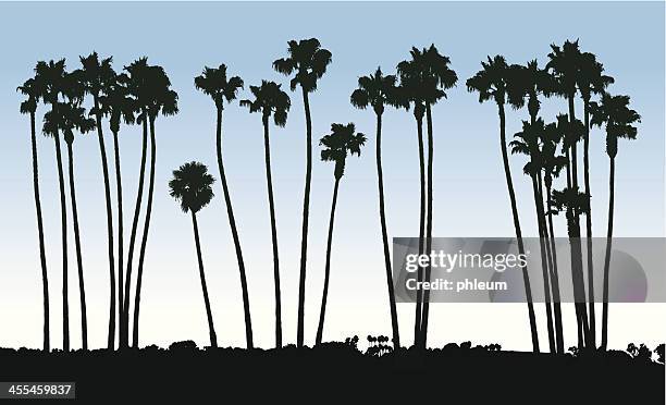 ilustraciones, imágenes clip art, dibujos animados e iconos de stock de palm tree silhouettes - juegos de palmas