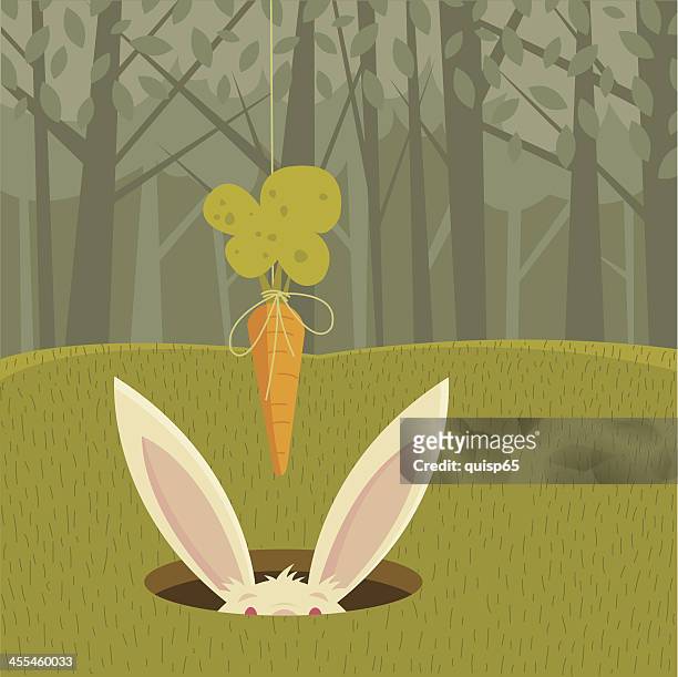ilustrações, clipart, desenhos animados e ícones de balançar uma cenoura - dangling a carrot