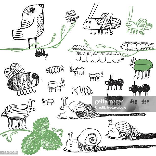 creepy crawlies - caterpillar stock illustrations