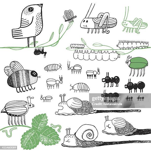 creepy crawlies - snail stock illustrations