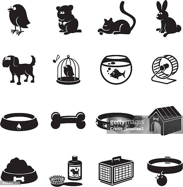 illustrazioni stock, clip art, cartoni animati e icone di tendenza di animali domestici icone - collare