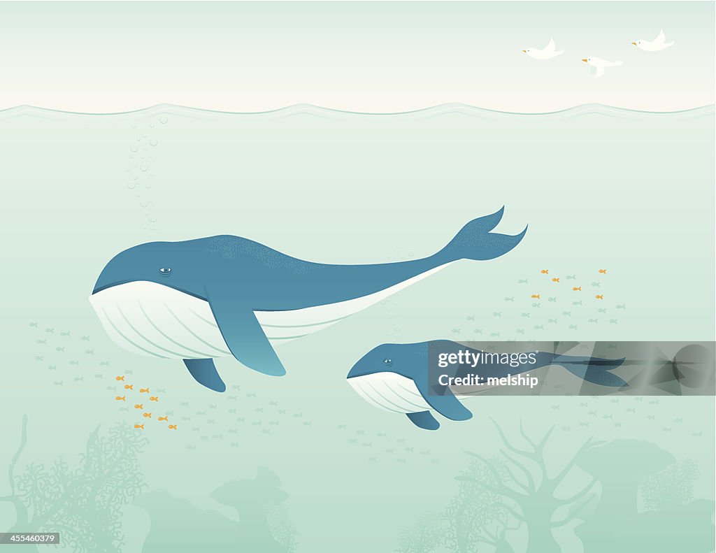 Whales