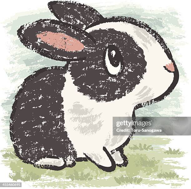 panda rabbit sitting - pampered pets stock illustrations