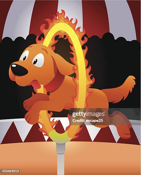 dog stunt - burning ring of fire stock illustrations