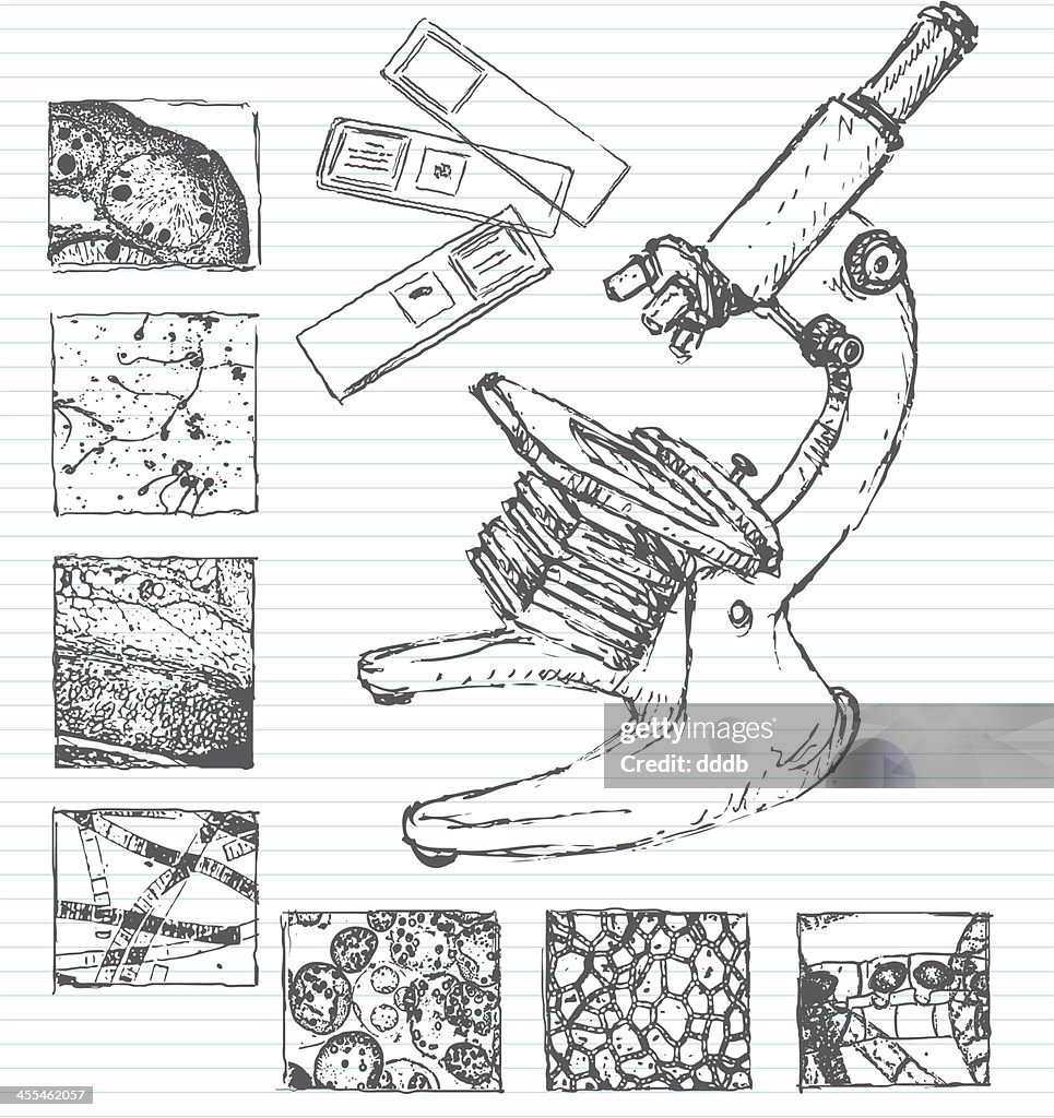 Under a microscope doodle