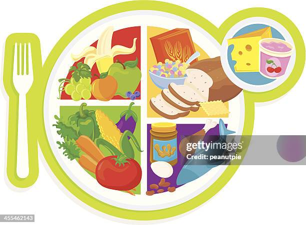 stockillustraties, clipart, cartoons en iconen met my plate food pyramid - food groups