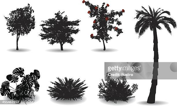black silhouettes on white of ornamental plants - bush stock illustrations