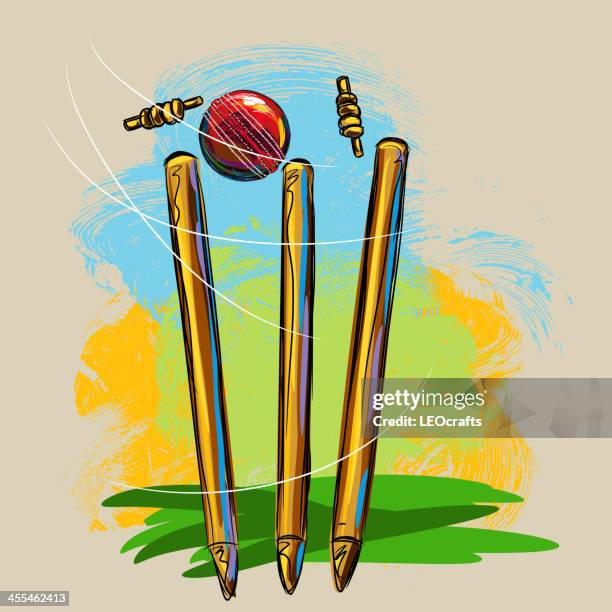 illustrations, cliparts, dessins animés et icônes de à un match de cricket et - piquet de cricket
