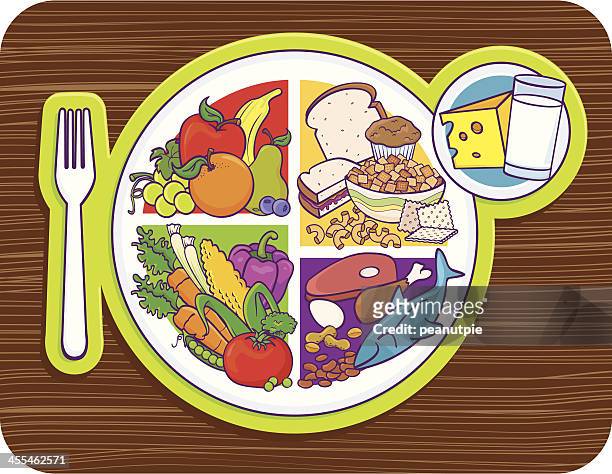 stockillustraties, clipart, cartoons en iconen met my plate food pyramid - food groups