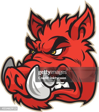 Razorback Head Razorback Head
