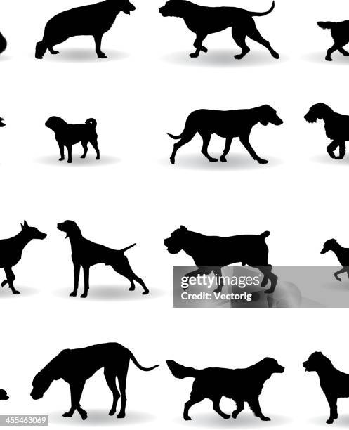 stockillustraties, clipart, cartoons en iconen met dog silhouette - hunting dog