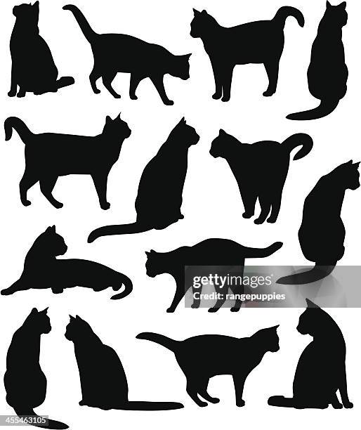 Mewing Vector 1.182 Mewing High Res Illustrations - Getty Images