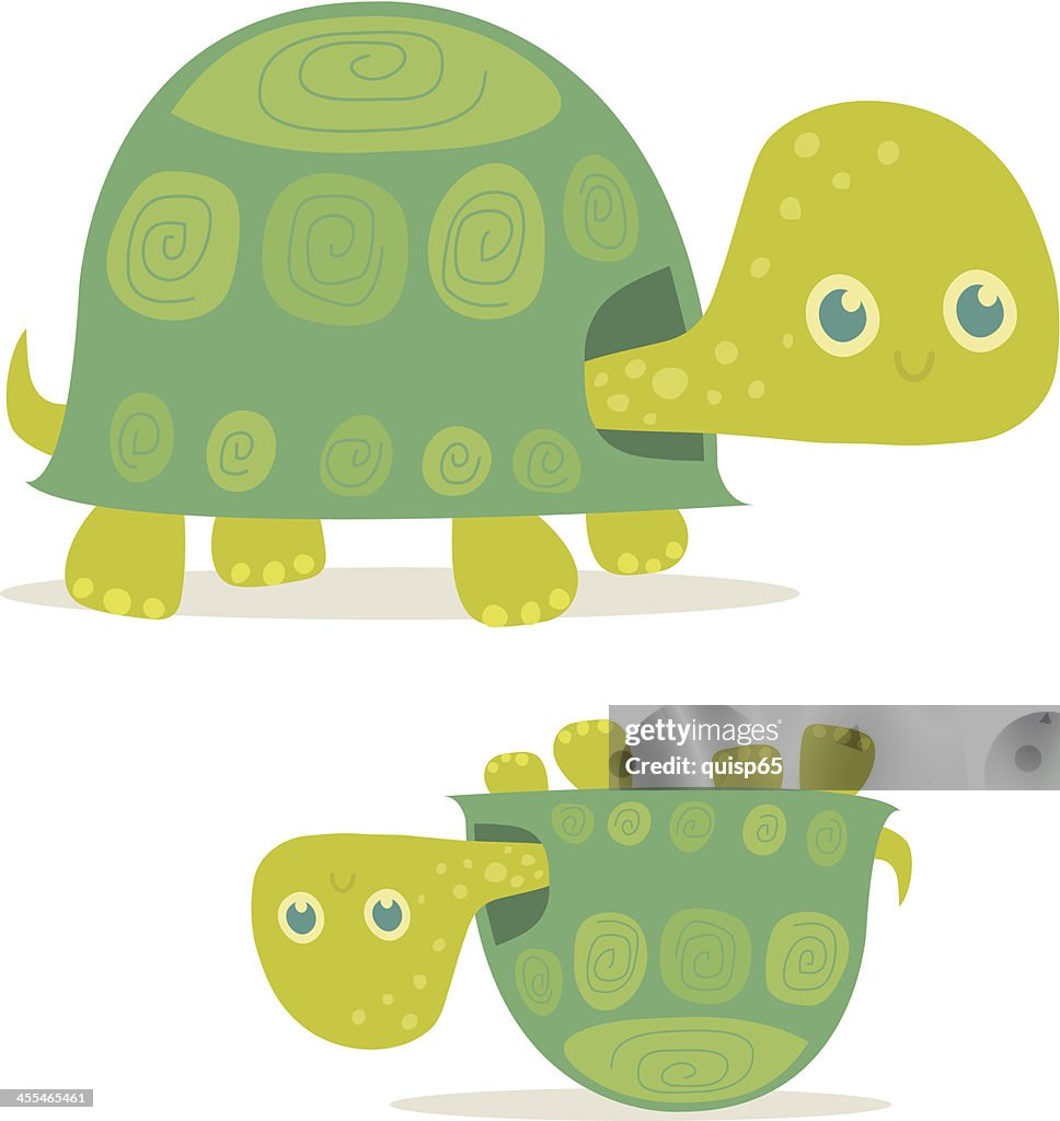 Happy Turtle
