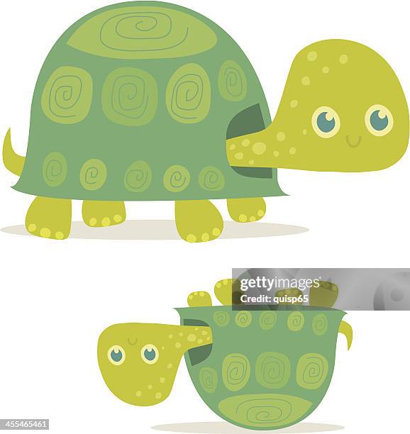 happy turtle - cute turtle stock illustrations