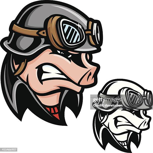 motorrad-schwein - fliegerbrille stock-grafiken, -clipart, -cartoons und -symbole