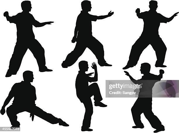 tai chi - martial arts stock illustrations