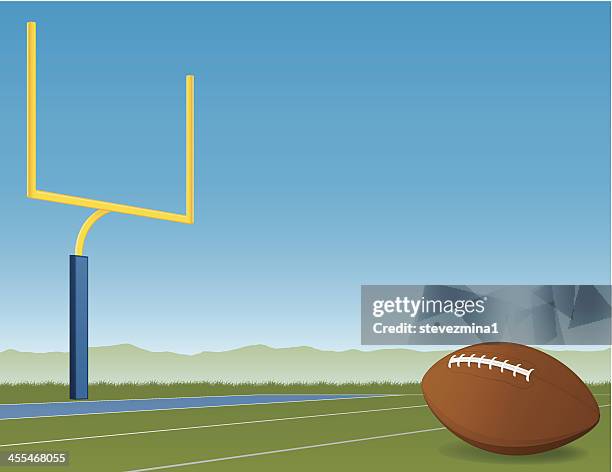 stockillustraties, clipart, cartoons en iconen met football field - goal posts