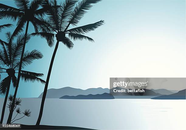 hawaiian air - pazifik stock-grafiken, -clipart, -cartoons und -symbole