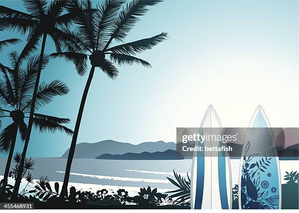 illustrazioni stock, clip art, cartoni animati e icone di tendenza di hawaiian surf - surfing stock illustrations