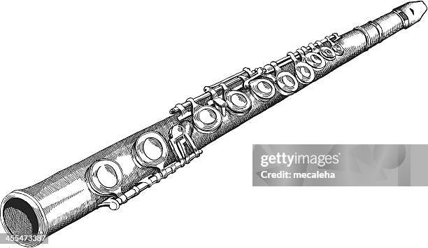 ilustrações de stock, clip art, desenhos animados e ícones de flauta - flauta