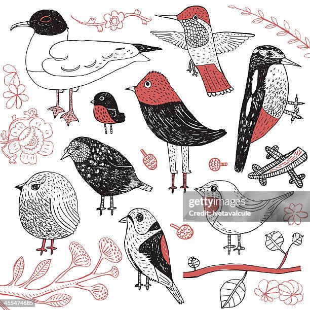 set of birds - paradise tanager stock illustrations