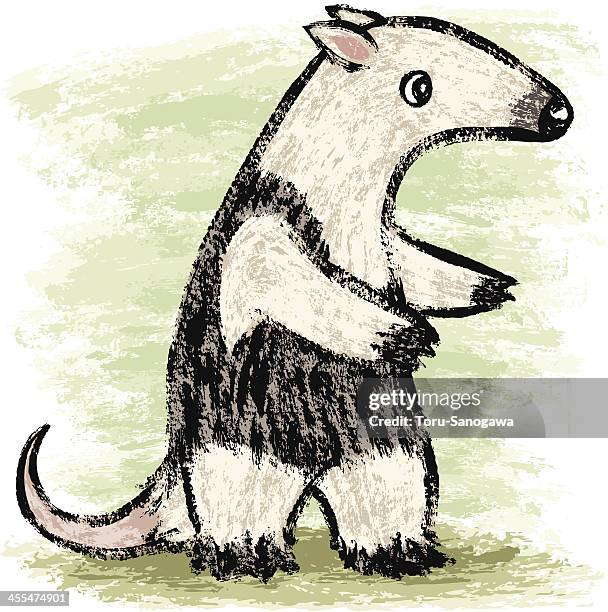 anteater - anteater stock illustrations