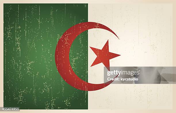 bildbanksillustrationer, clip art samt tecknat material och ikoner med algerian grunge vintage flag - algeriska flaggan
