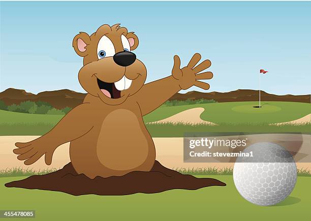 ilustraciones, imágenes clip art, dibujos animados e iconos de stock de pelota de golf y gopher - funny groundhog