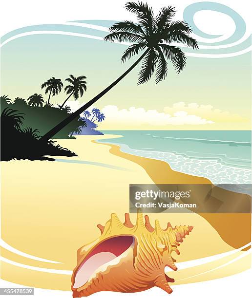 conch shell on tropical beach - conch stock illustrations