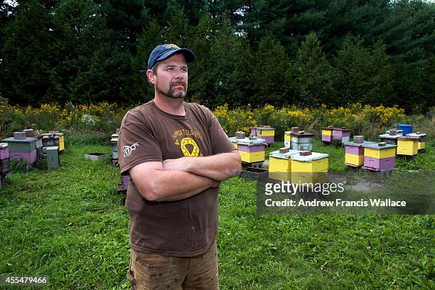 Andre Flys with his bees in Schomberg, September 12, 2014. The current impact of a big winter drop in bee populations. Andre is a beekeeper who lost...