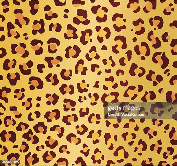 ilustraciones, imágenes clip art, dibujos animados e iconos de stock de manchas animal patrón 1 - piel leopardo