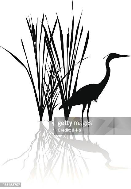 silhouette of great blue heron with reflections - blue heron stock illustrations