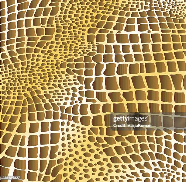 reptilian skin pattern - leather background texture stock illustrations
