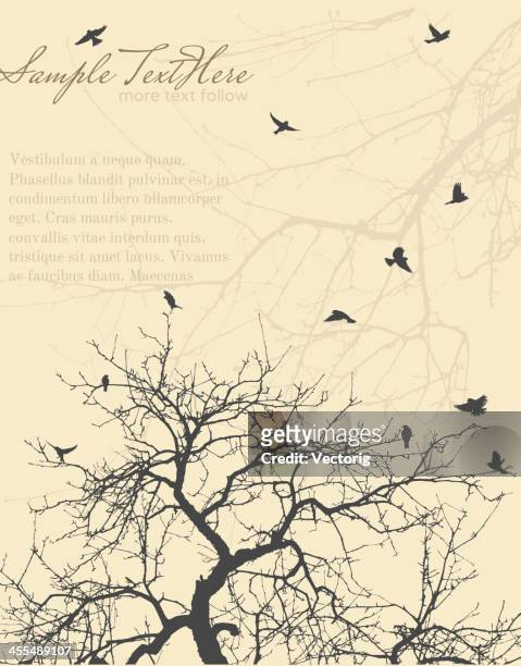 stockillustraties, clipart, cartoons en iconen met tree branch with sparrows - vogel silhouet