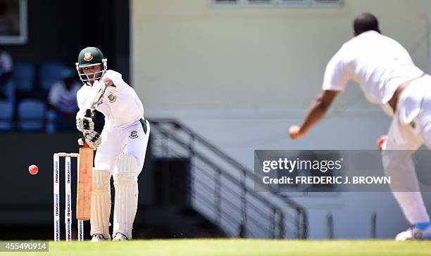 Saiful Off 131 Lucia Shannon Stock Photos, High-Res Pictures, and Images - Getty ...