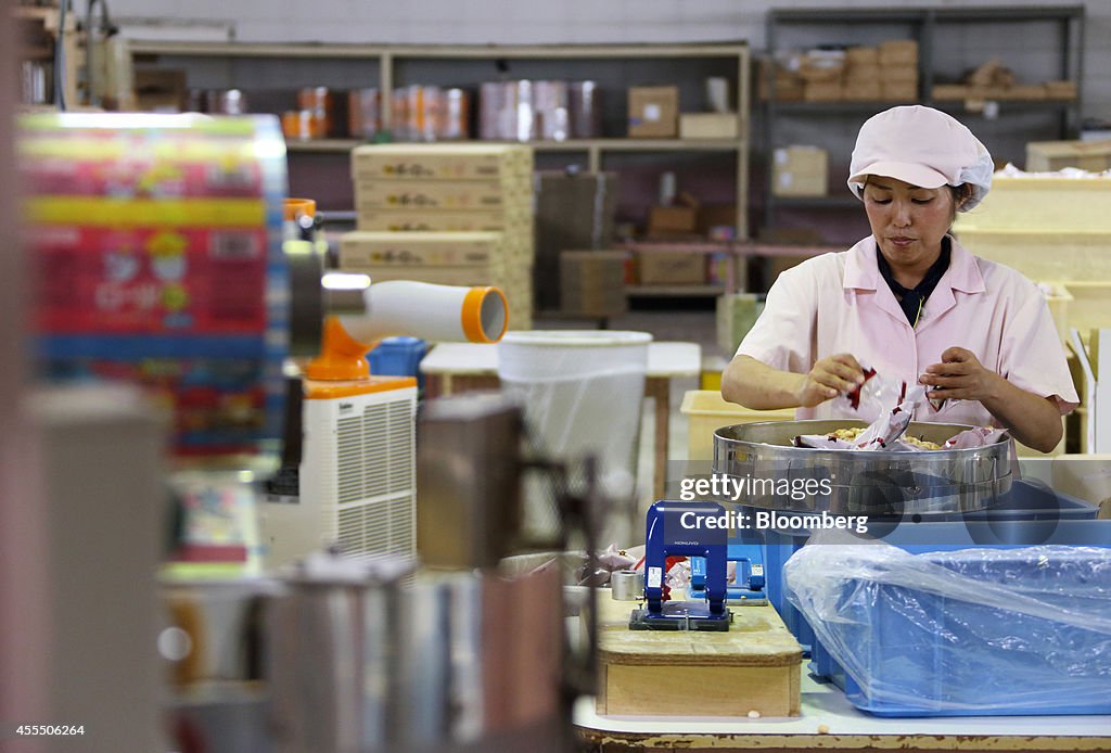 Tour Of Takeda Confectionery Co. Plant And The Sweets Castle Theme Park