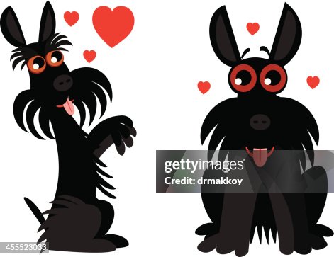 Terrier Terrier
