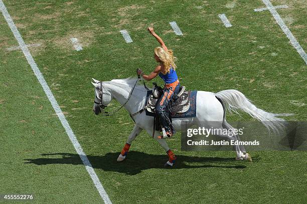 Thunder the Denver Broncos mascot is ridden down the field by Ann Judge-Wegener before a game against the Kansas City Chiefs at Sports Authority...