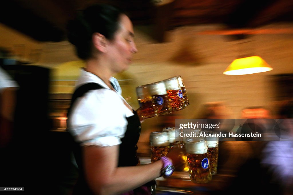 Annual Oktoberfest Beer Tasting