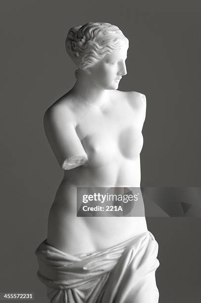venus de milo auf grau - venus statue stock-fotos und bilder