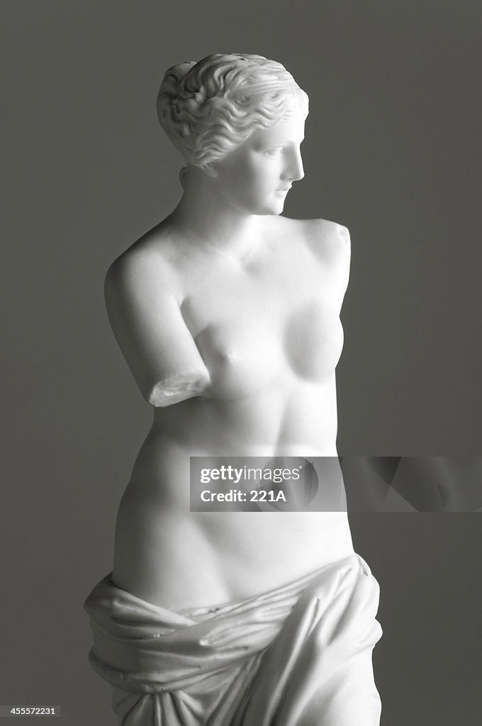 Venus de Milo on grey